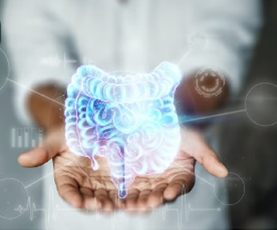 Explorando o Universo Desconhecido: A Fascinante Anatomia do Cólon, Reto e Ânus