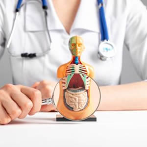 Proctologista Em BH: Tudo que Você Precisa Saber